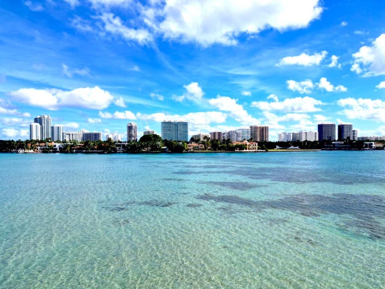 Haulover Sandbar 4-Hour Private Tour — photo 1 of 6